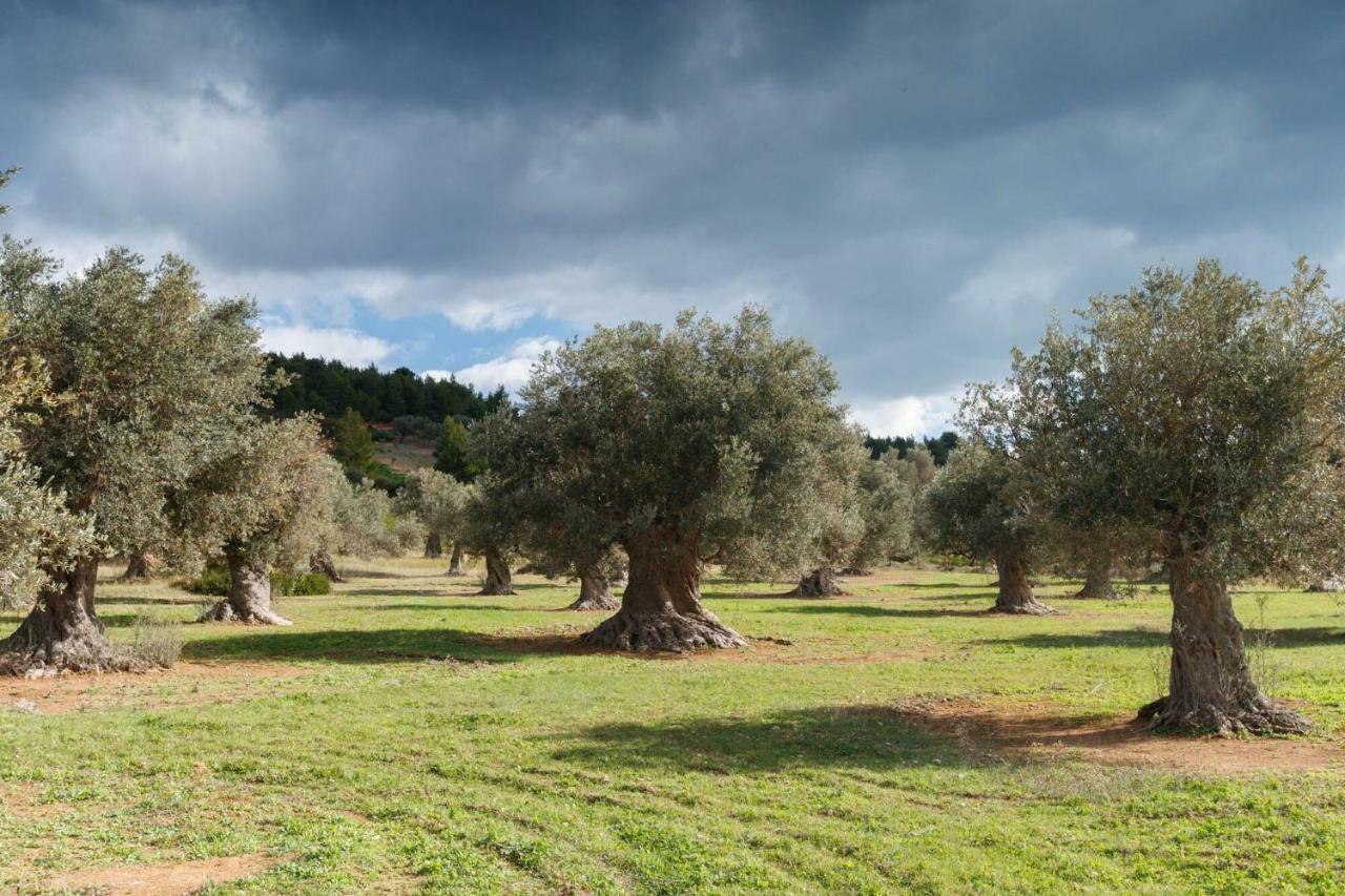 Kouvelia Country Home Luxury Villa Rental Nerotriviá Esterno foto